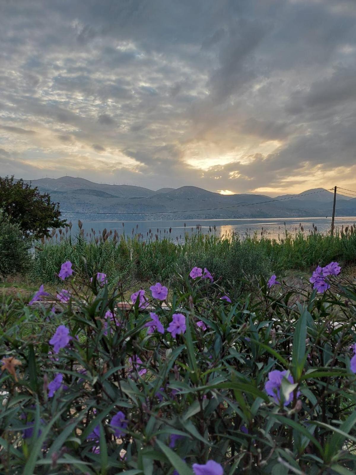 Apollonides Seafront Villa 2 Melete Lixouri Esterno foto